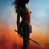 DC Comics Wonder Woman Movie Poster Stance Pose Surface Book 2 13.5in Skin
